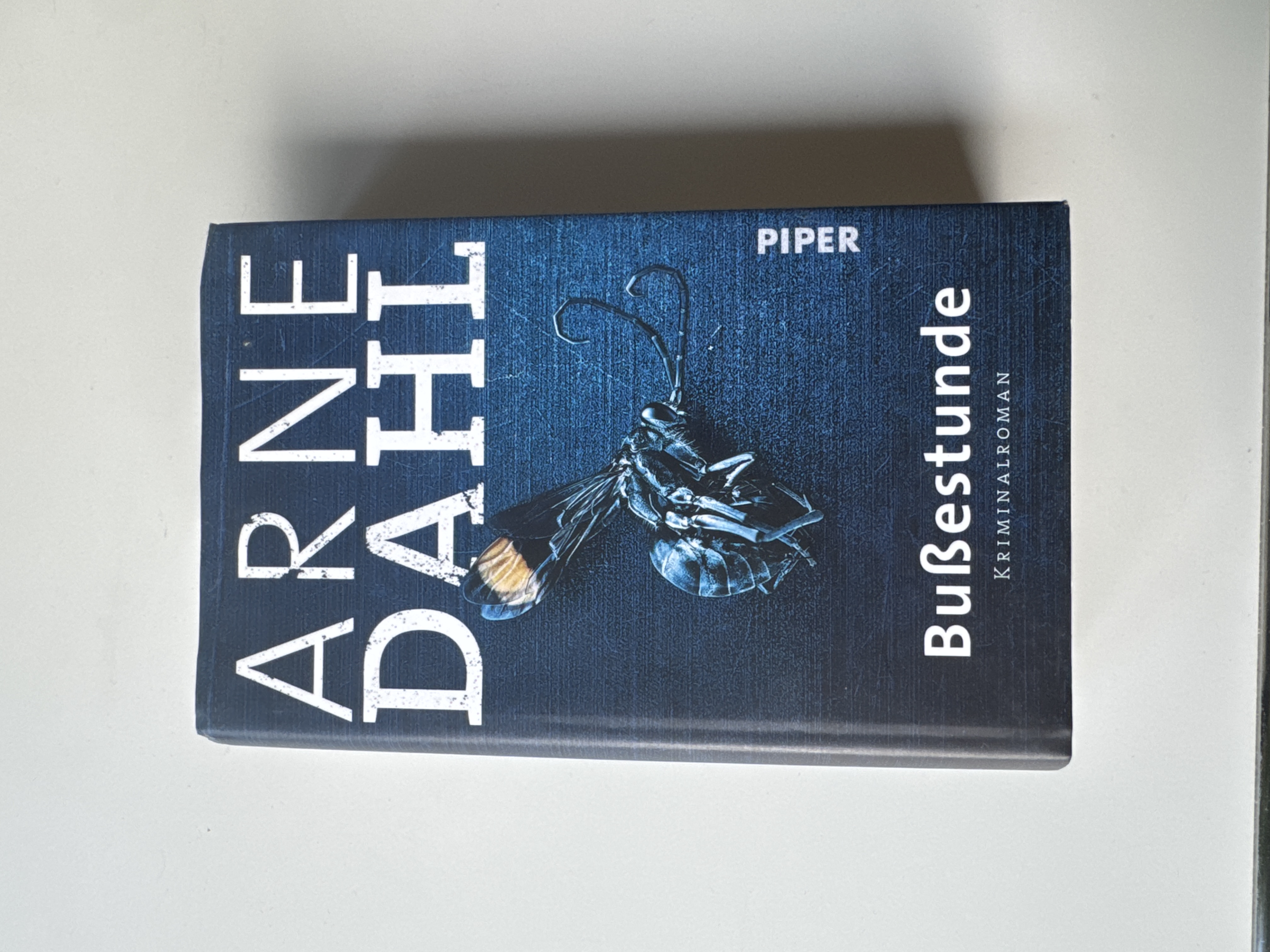 Arne Dahl: Bußestunde